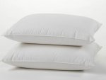 Coyuchi Feather/Down Pillow Coyuchi Feather/Down Pillow