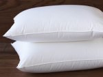 Coyuchi Down Pillow Coyuchi Down Pillow